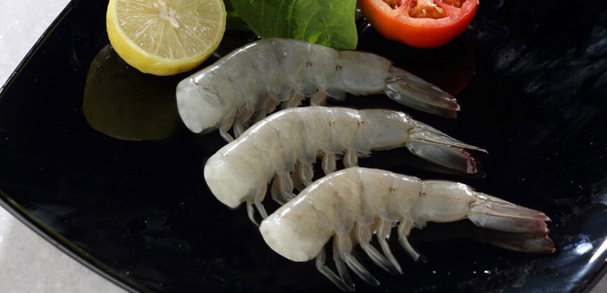 Nila Sea Foods Products - Nila Sea Foods