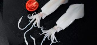 SQUID WHOLE CLEANED